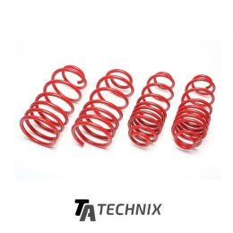 Arcuri Sport TaTechnix Renault Clio2